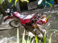 Walton Xplore 140